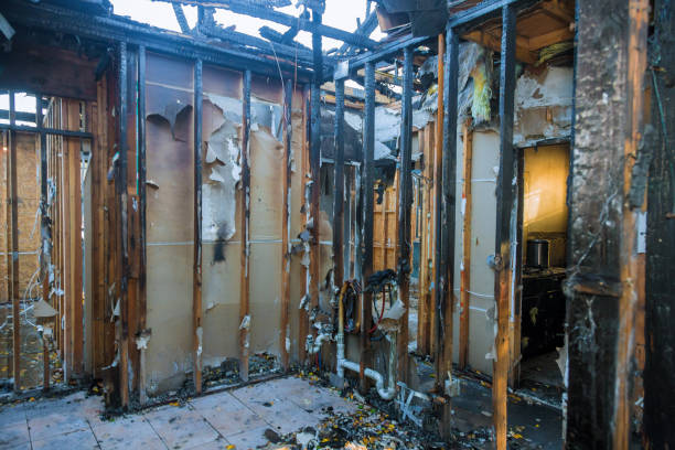 Professional Soot Cleanup technician working in Plano, KY